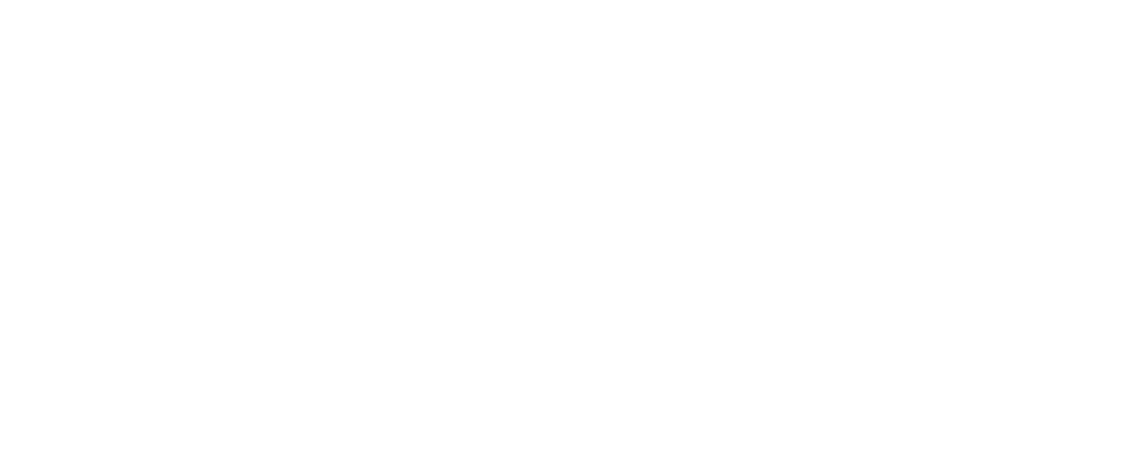 Viseeon - INTERNATIONAL NETWORK OF ACCOUNTANTS - JOIN VISEEON - MLM